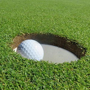 golf ball in hole