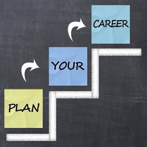plan your career stepladder