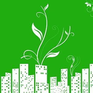 buildings and plants